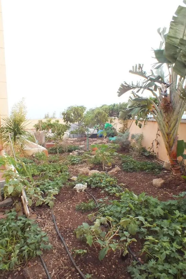 Casa Nea Lägenhet El Rosario  Spanien